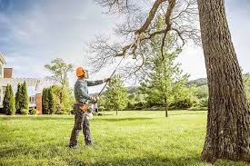 Best Weed Control  in Jenks, OK