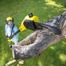 Best Grass Overseeding  in Jenks, OK