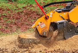 Best Storm Damage Tree Cleanup  in Jenks, OK