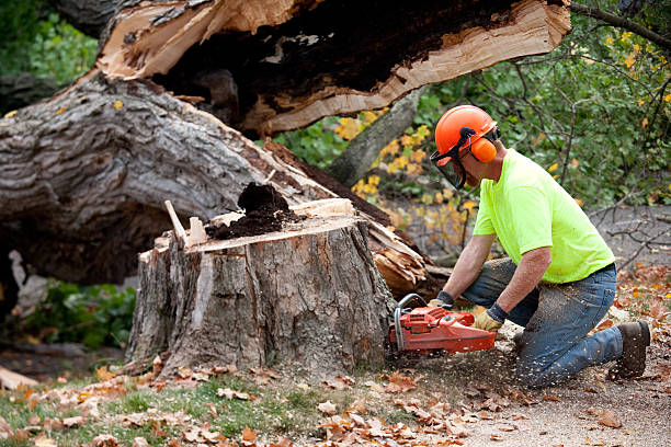 Jenks, OK Tree Services Company