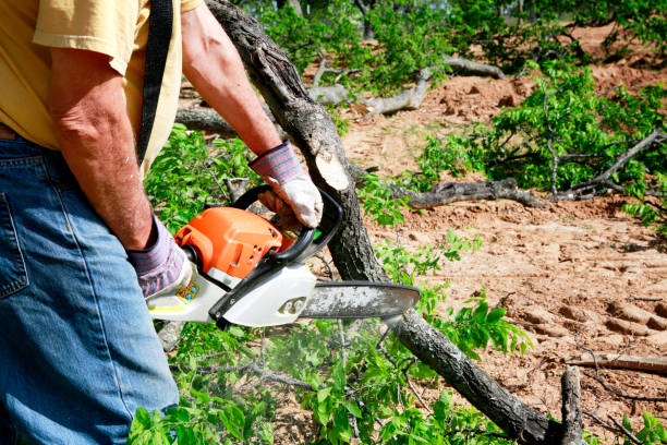 Best Commercial Tree Services  in Jenks, OK
